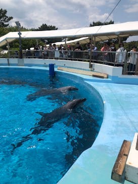 マリンワールド海の中道に投稿された画像（2025/5/1）