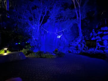 箱根湯本温泉 天成園に投稿された画像（2025/5/1）