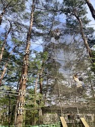富士すばるランドに投稿された画像（2025/5/1）