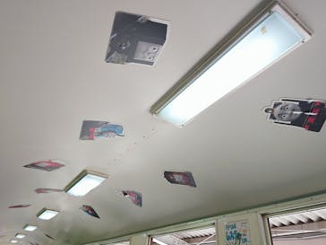 大井川鐵道株式会社に投稿された画像（2025/5/1）