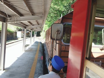 大井川鐵道株式会社に投稿された画像（2025/5/1）