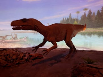 福井県立恐竜博物館に投稿された画像（2025/5/1）