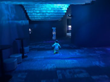 DMMかりゆし水族館に投稿された画像（2025/5/1）