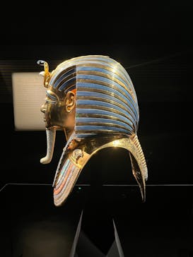 MYSTERY OF TUTANKHAMEN 体感型古代エジプト展に投稿された画像（2025/5/1）