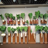 特別展「和食 ～日本の自然、人々の知恵～」に投稿された画像（2025/5/2）