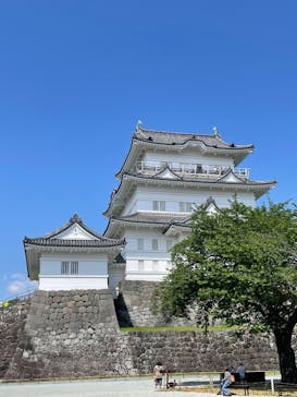 小田原城に投稿された画像（2025/5/1）