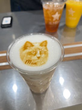 Cat Café MOFF イーアス沖縄豊崎店に投稿された画像（2025/5/1）