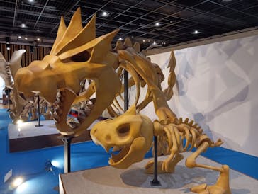 福井県立恐竜博物館に投稿された画像（2025/5/1）