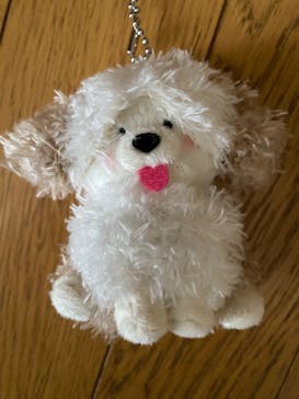 丸美屋食品 ミュージカル アニー2025  新国立劇場 中劇場に投稿された画像（2025/5/2）