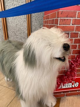 丸美屋食品 ミュージカル アニー2025  新国立劇場 中劇場に投稿された画像（2025/5/2）