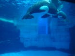 名古屋港水族館に投稿された画像（2025/5/2）