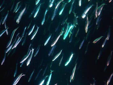 名古屋港水族館に投稿された画像（2025/5/2）