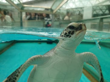名古屋港水族館に投稿された画像（2025/5/2）