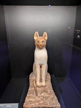 ACN ラムセス大王展 ファラオたちの黄金に投稿された画像（2025/5/2）