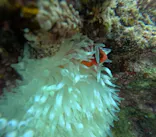 武藤潜水に投稿された画像（2025/5/2）