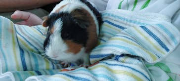 ネオパークオキナワに投稿された画像（2025/5/2）