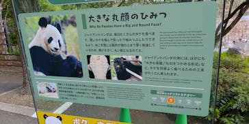 恩賜上野動物園に投稿された画像（2025/5/2）