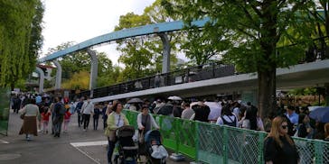 恩賜上野動物園に投稿された画像（2025/5/2）