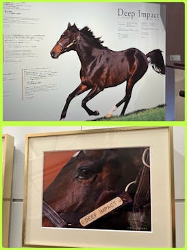 ノーザンホースパークに投稿された画像（2025/5/2）