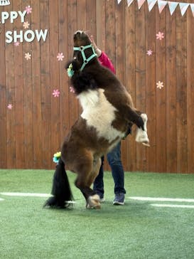 ノーザンホースパークに投稿された画像（2025/5/2）