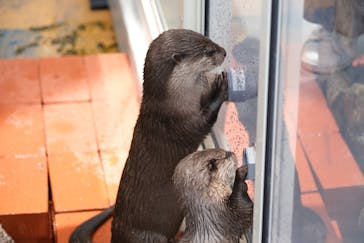 大分マリーンパレス水族館 「うみたまご」に投稿された画像（2025/5/2）
