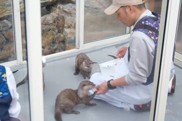 大分マリーンパレス水族館 「うみたまご」に投稿された画像（2025/5/2）