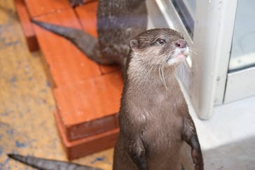 大分マリーンパレス水族館 「うみたまご」に投稿された画像（2025/5/2）