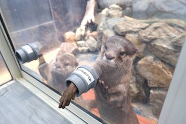 大分マリーンパレス水族館 「うみたまご」に投稿された画像（2025/5/2）