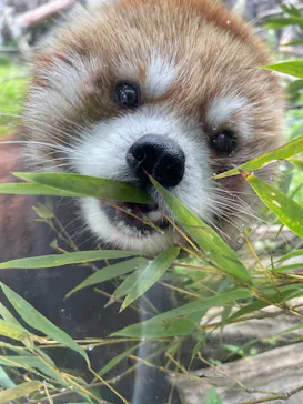 多摩動物公園に投稿された画像（2025/5/2）