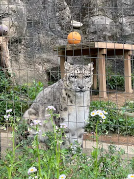 多摩動物公園に投稿された画像（2025/5/2）