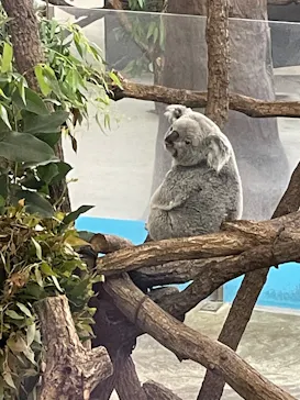 多摩動物公園に投稿された画像（2025/5/2）