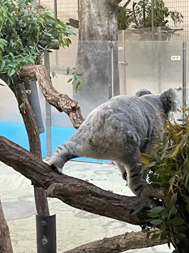 多摩動物公園に投稿された画像（2025/5/2）
