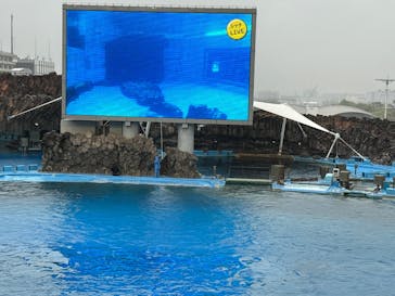 名古屋港水族館に投稿された画像（2025/5/2）