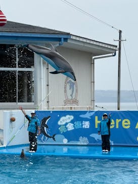 のとじま水族館に投稿された画像（2025/5/2）