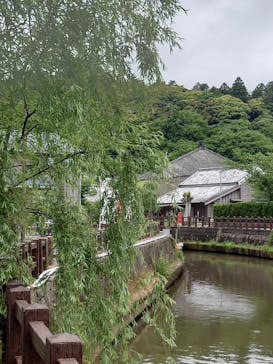 小江戸さわら 舟めぐりに投稿された画像（2025/5/2）