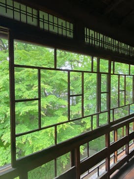 江戸東京たてもの園に投稿された画像（2025/5/2）