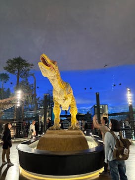 福井県立恐竜博物館に投稿された画像（2025/5/2）