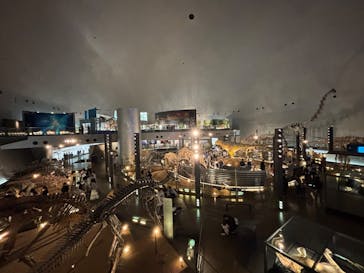 福井県立恐竜博物館に投稿された画像（2025/5/2）