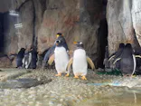 仙台うみの杜水族館に投稿された画像（2025/5/2）