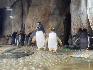 仙台うみの杜水族館に投稿された画像（2025/5/2）