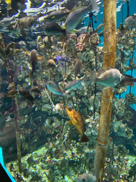 仙台うみの杜水族館に投稿された画像（2025/5/2）