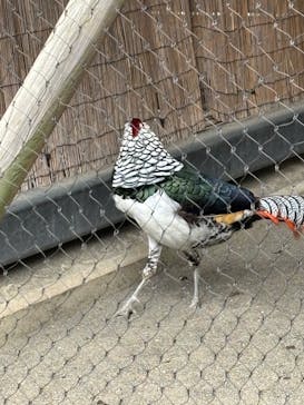 恩賜上野動物園に投稿された画像（2025/5/2）