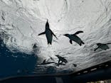 サンシャイン水族館に投稿された画像（2025/5/2）