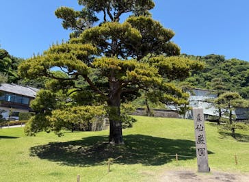 仙巌園に投稿された画像（2025/5/2）