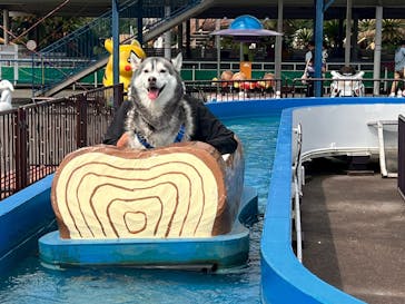 伊豆ぐらんぱる公園に投稿された画像（2025/5/2）