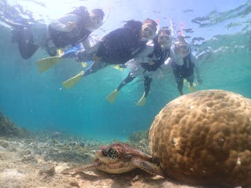 タビワク　宮古島に投稿された画像（2025/5/2）