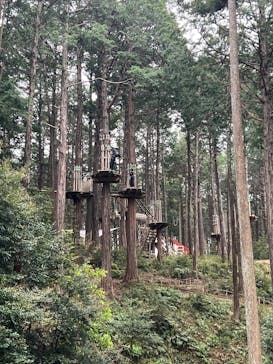 アドベンチャーパーク　オドルの森に投稿された画像（2025/5/2）