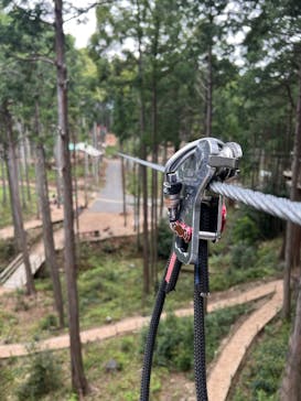 アドベンチャーパーク　オドルの森に投稿された画像（2025/5/2）