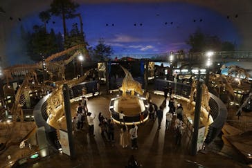 福井県立恐竜博物館に投稿された画像（2025/5/2）