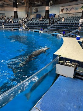 マクセル アクアパーク品川に投稿された画像（2025/5/2）